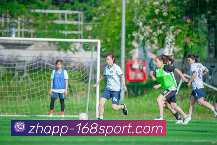 168体育官网品牌故事