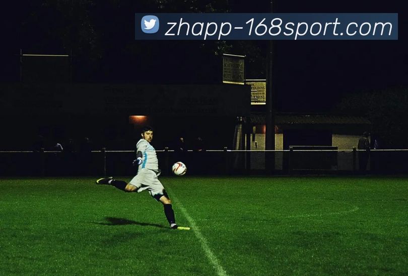 168体育官网服务体系